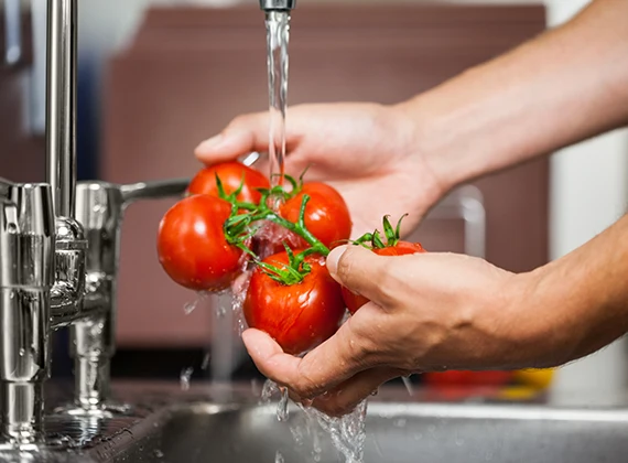 Person washing tomatoes under a filtered drinking water tap