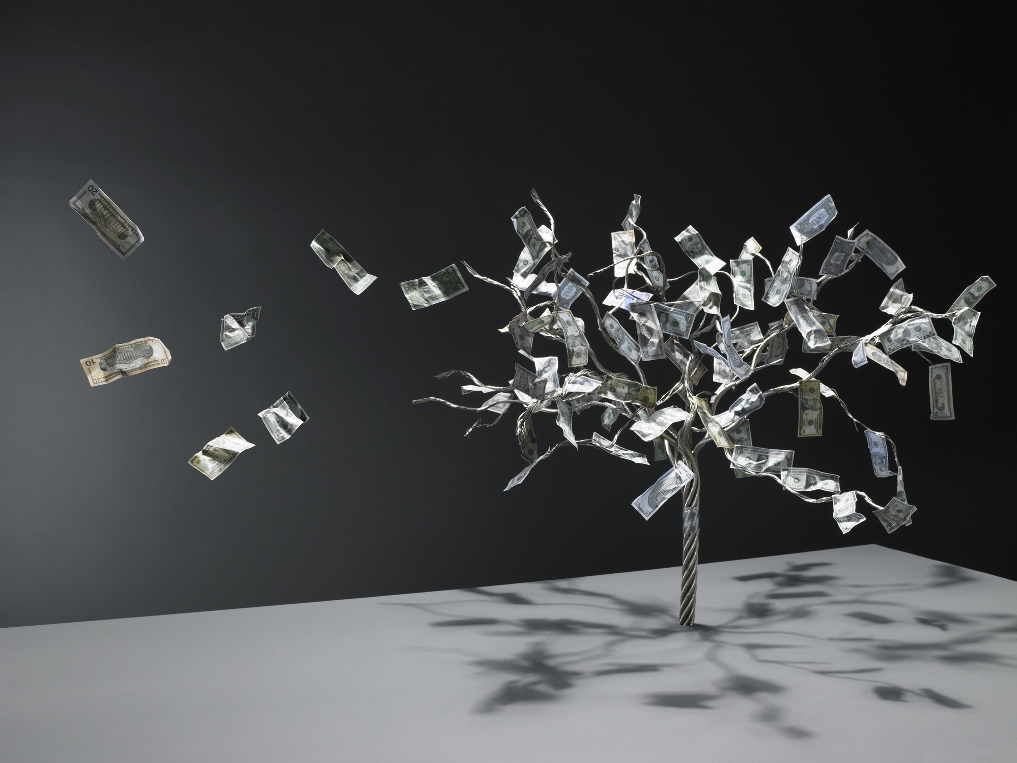 a money tree with money flying away