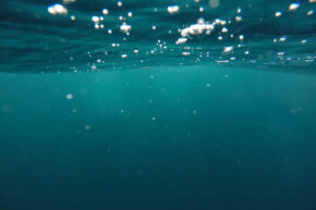 Under the surface of the ocean