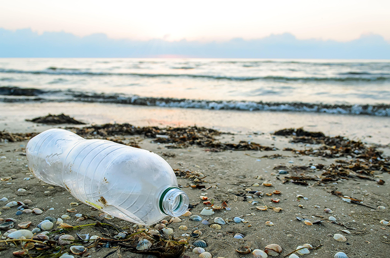 an empty plastic bottle lying on a beach