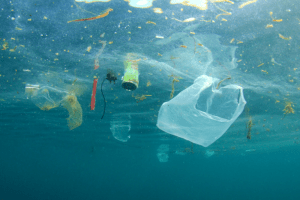 Plastic waste in the sea