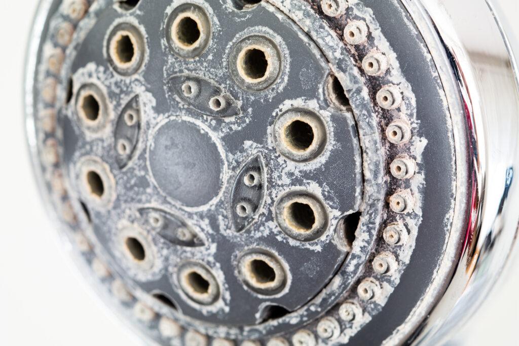 A shower head covered with limescale.